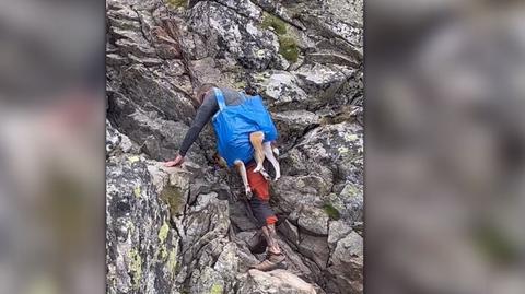 Turysta z psem wspinał się po łańcuchach w Tatrach