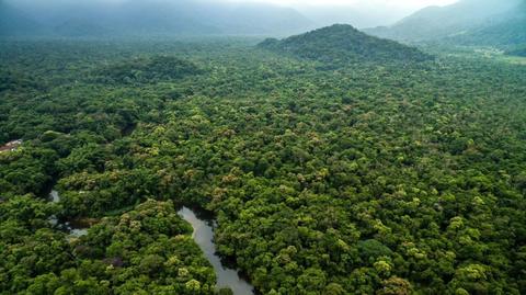 Amazonia na zdjęciach archiwalnych