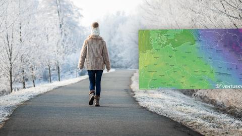 Prognozowana temperatura w kolejnych dniach