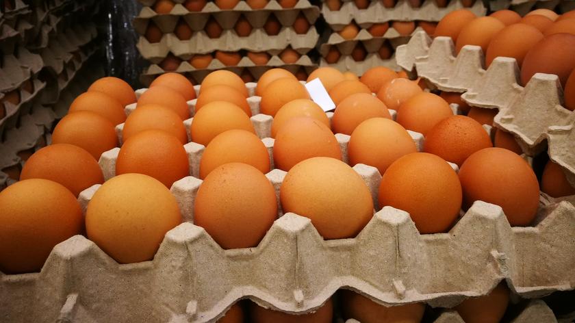 GIS ostrzega przed salmonellą na skorupkach jaj