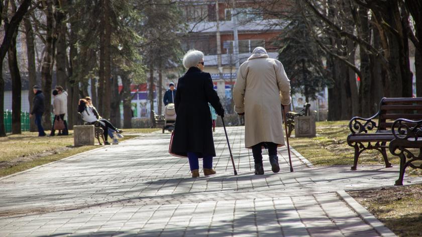 Rzecznik rządu Piotr Mueller o projekcie Solidarności w sprawie emerytur stażowych (wypowiedź z listopada 2022)