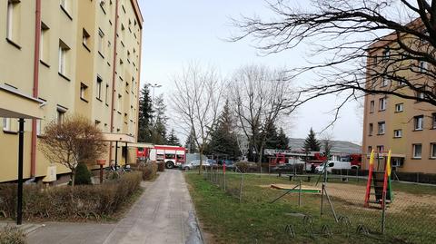 Pożar mieszkania w bloku. Nie żyje kobieta