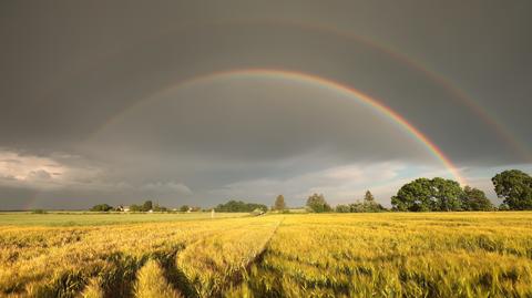 Alarmy IMGW. Burze. Gdzie będzie niebezpiecznie - TVN Meteo