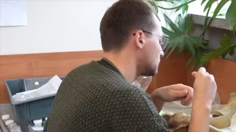Światowy Dzień Nosorożca 2