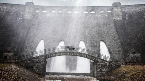 "Io" Jerzego Skolimowskiego z szansą na nominacje do Europejskich Nagród Filmowych