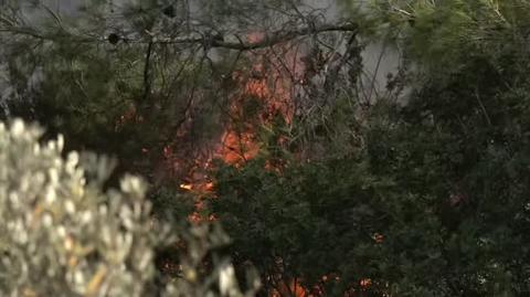 Sytuacja w południowej części Rodos "wciąż jest bardzo trudna", ekipa TVN24 obserwowała pożar przy drodze. Relacja Dominiki Ziółkowskiej z 26 lipca