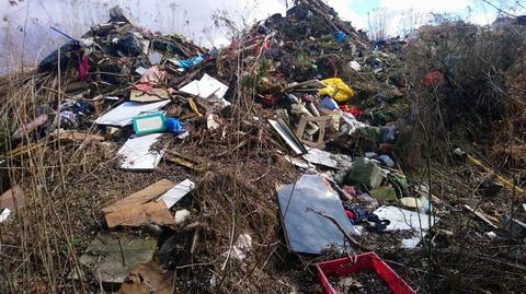 Poznań, ul. Bałtycka: strażnicy miejscy zlikwidowali dzikie wysypisko śmieci (materiał z 5.10.2021)