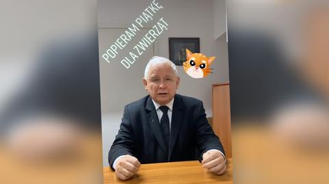 Kaczyński wziął udział w akcji na TikToku. Do poparcia "piątki dla zwierząt" nominował też premiera