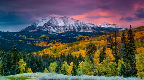 shutterstock_508623547