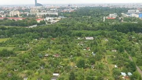 Miasto losuje ogródki działkowe (wideo z 2021 roku)