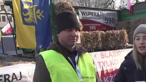ROLNIK
