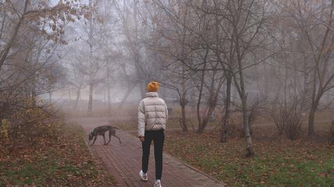 Jak chronić się przed smogiem