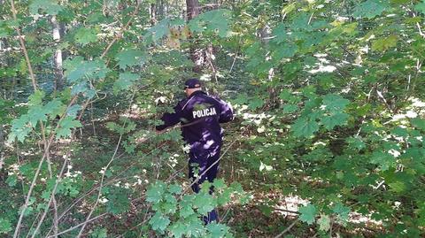Wyszedł do lasu na grzyby, tragiczny finał poszukiwań 70-latka (materiał 6.09.2021)