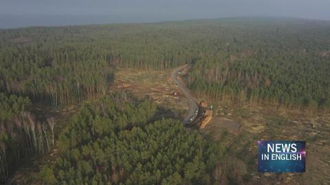 Deforestation for the construction of the Vistula Spit canal