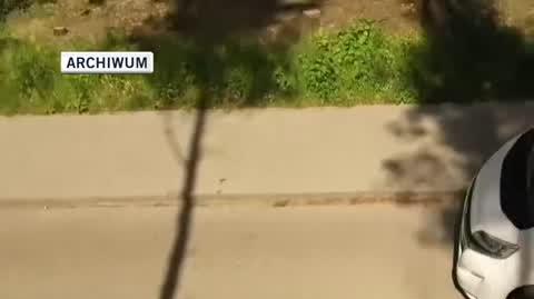 ARCHIWUM 
