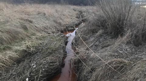 Białystok. W rzece pojawiła się rdzawa ciecz. Wypłynęła z kolektora miejskiej kanalizacji deszczowej (materiał z 20.03.2023)
