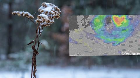Prognozowana temperatura w kolejnych dniach
