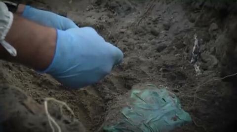 Zakopał żonę w ogródku, policja znalazła szczątki Grażyny Ż.