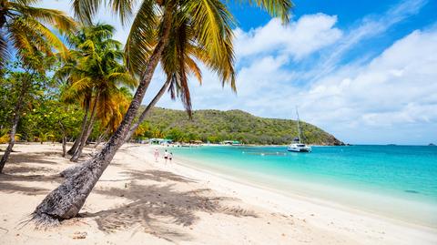 Para Brytyjczyków znaleziona martwa na jednej z plaż Carriacou