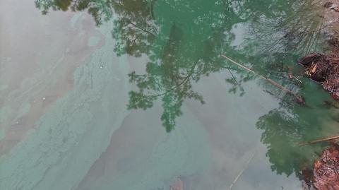 Sosnowica. W Jeziorze Czarnym pływa nieznana substancja. Strażacy nie mają łatwego zadania (materiał z 14.11.2021)