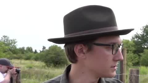 Owce dbają o trawniki nad Motławą. To ekspertymentalny wypas