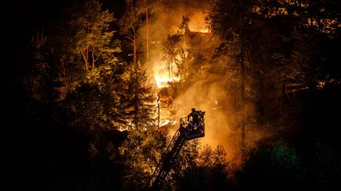 Strażacy walczą z pożarem w Parku Narodowym Czeska Szwajcaria