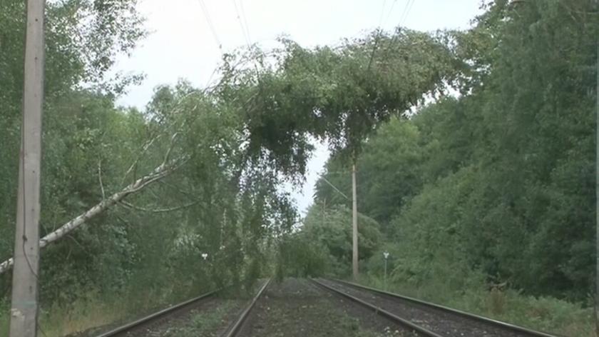 Drzewa zablokowały trasę kolejową