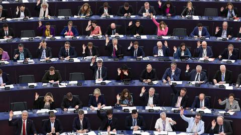 Rosa: wybory do europarlamentu pokażą nasze miejsce w Unii Europejskiej