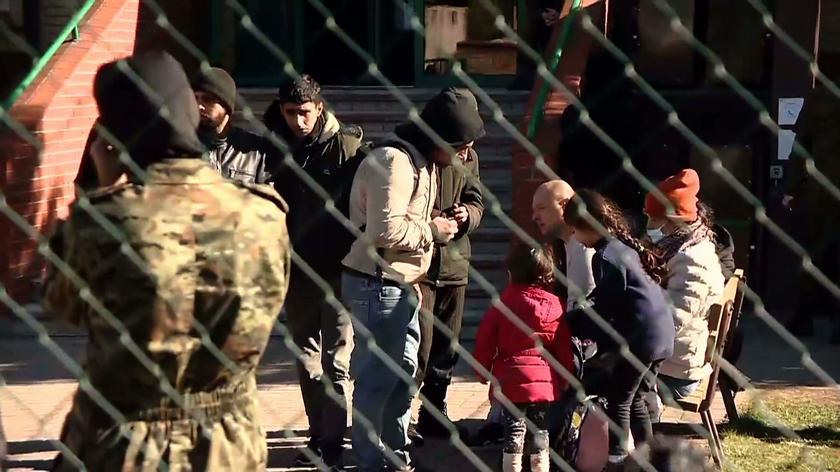 Zastępca komendanta Straży Granicznej w Michałowie powiedział, że imigranci odprowadzani są na granicę