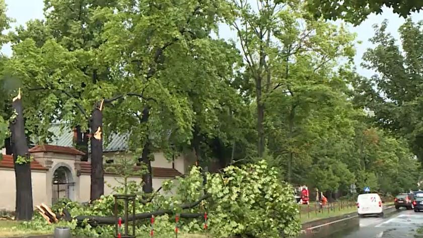 Skutki wichury w Krakowie