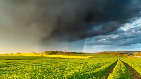 Prognozowana temperatura w kolejnych dniach