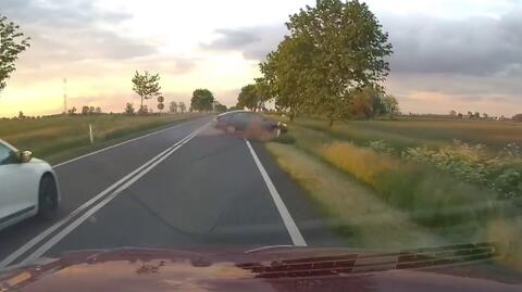 Wypadek na trasie Zaniemyśl-Środa Wielkopolska nagrał wideorejestrator