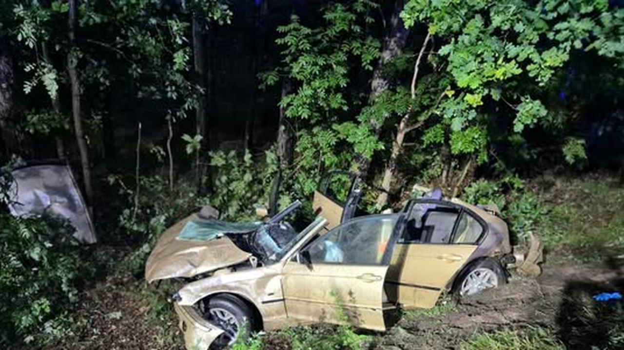 19-latka zginęła w wypadku w Brzozie pod Toruniem — przyczyną drzewo na jezdni