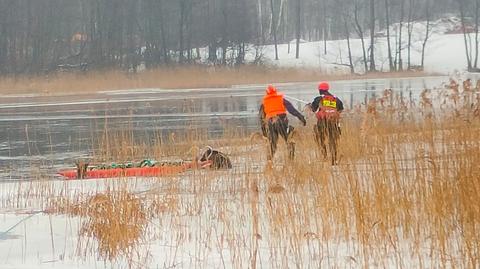 Suwałki. Strażacy uratowali psy, które wpadły do wody i nie mogły wyjść. Trzymały się łapami tafli lodu
