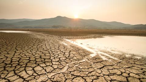 Specjalistka WWF Alicja Pawelec o sytuacji hydrologicznej w kraju