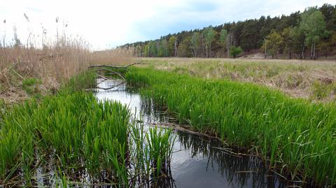 Co się stanie, jeśli nie zadbamy o sytuację hydrologiczną?