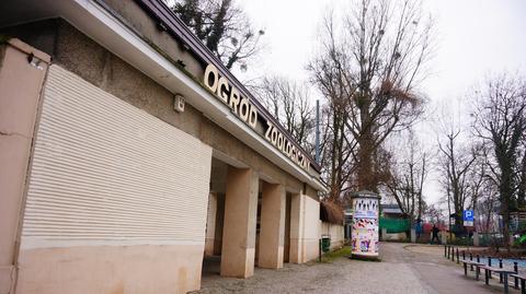 Zoo w Poznaniu