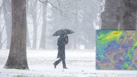 Prognoza temperatury na kolejne dni