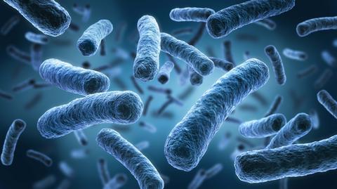 Legionella w Rzeszowie. 71 osób zakażonych, trzy ofiary