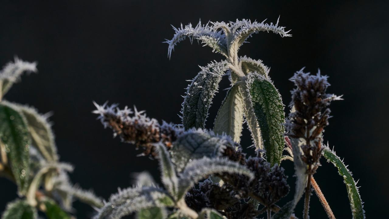 Pogoda na jutro - poniedziałek 12.05. Nocą znów szczypnie mróz