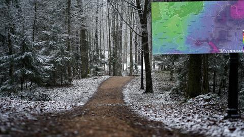 Prognozowana temperatura na najbliższe dni