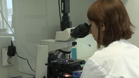 Rosnący problem męskiej bezpłodności