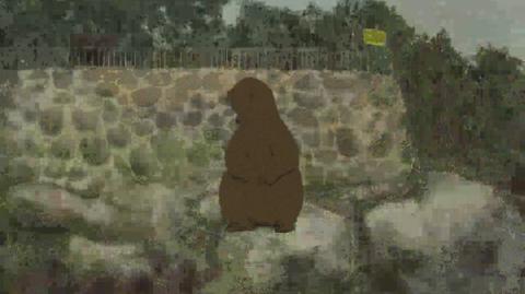 "Wojtek, the Soldier Bear", film animowany Marianny Raskin