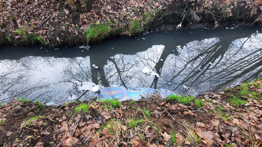 Mieszkańcy Krakowa alarmują, że potok Olszanicki jest regularnie zanieczyszczany