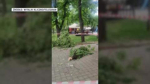 Szczątki rosyjskiej rakiety spadły na teren kijowskiego zoo 