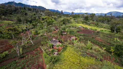 Badanie przeprowadzono w prowincji Eastern Highlands w Papui-Nowej Gwinei
