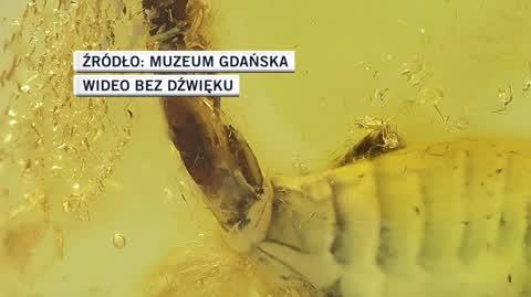 bursztyn