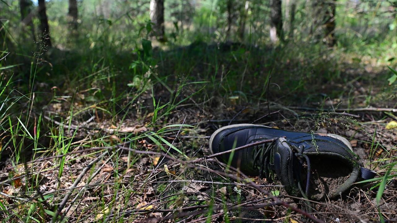Five years on: Poland's border forest where migrants die and rescuers grieve