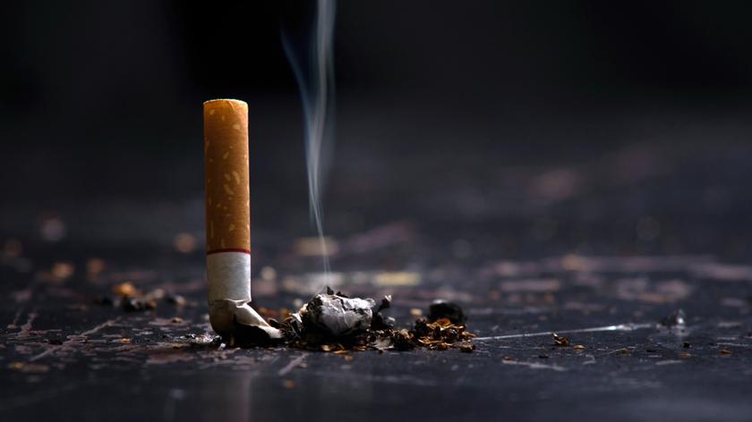 Ponad pół miliona papierosów w busie
