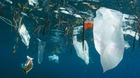 Morze śmieci. "Plastik, który generujemy, do nas wraca"
